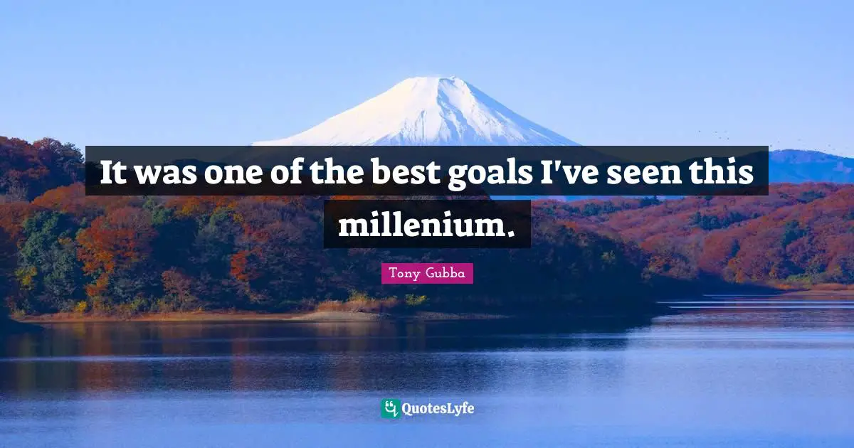 It was one of the best goals I've seen this millenium.