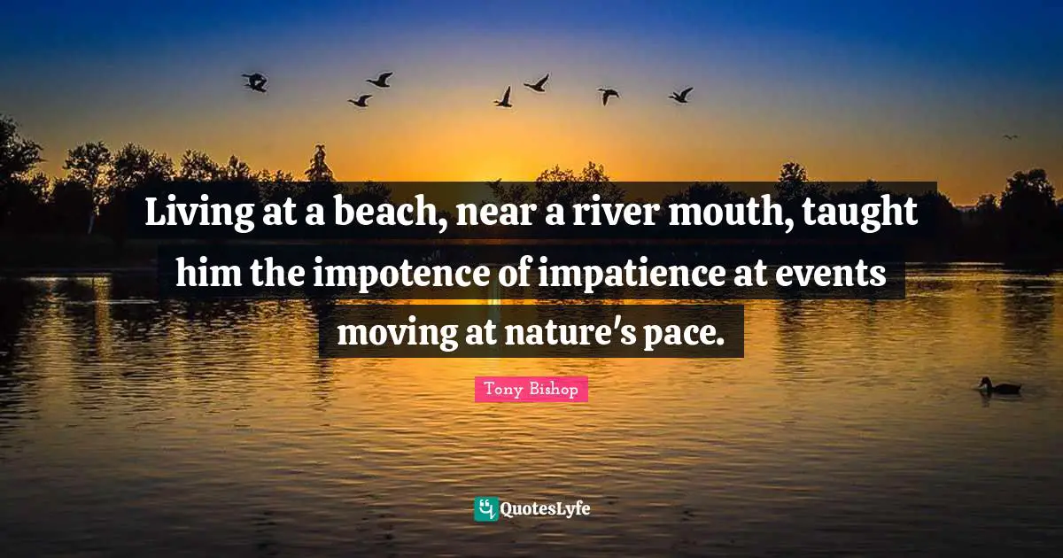 Living at a beach, near a river mouth, taught him the impotence of impatience at events moving at nature's pace.
