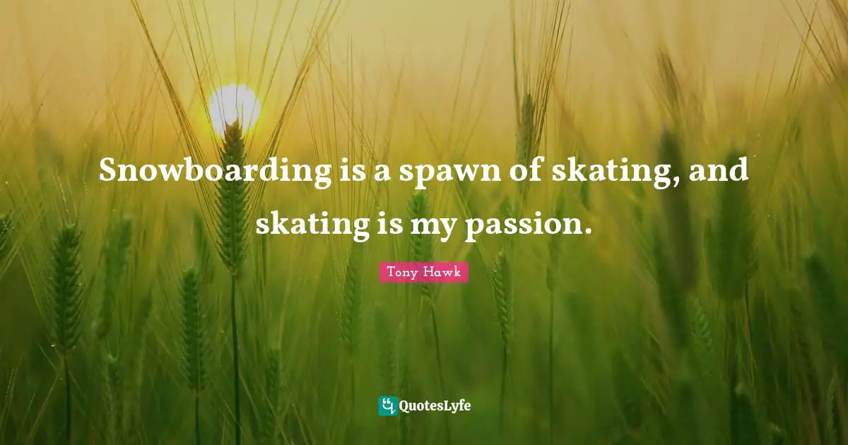 Snowboarding is a spawn of skating, and skating is my passion.