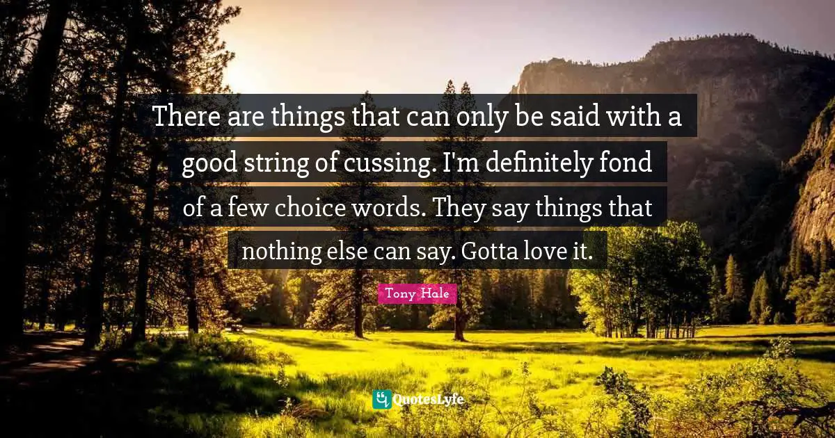 There are things that can only be said with a good string of cussing. I'm definitely fond of a few choice words. They say things that nothing else can say. Gotta love it.