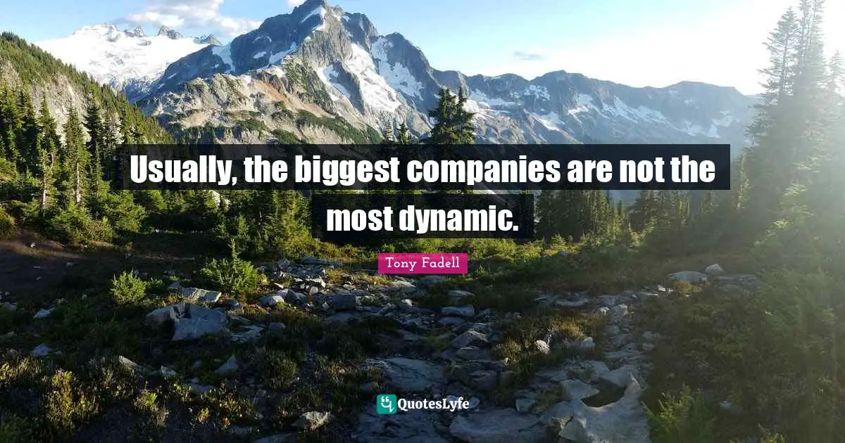 Usually, the biggest companies are not the most dynamic.