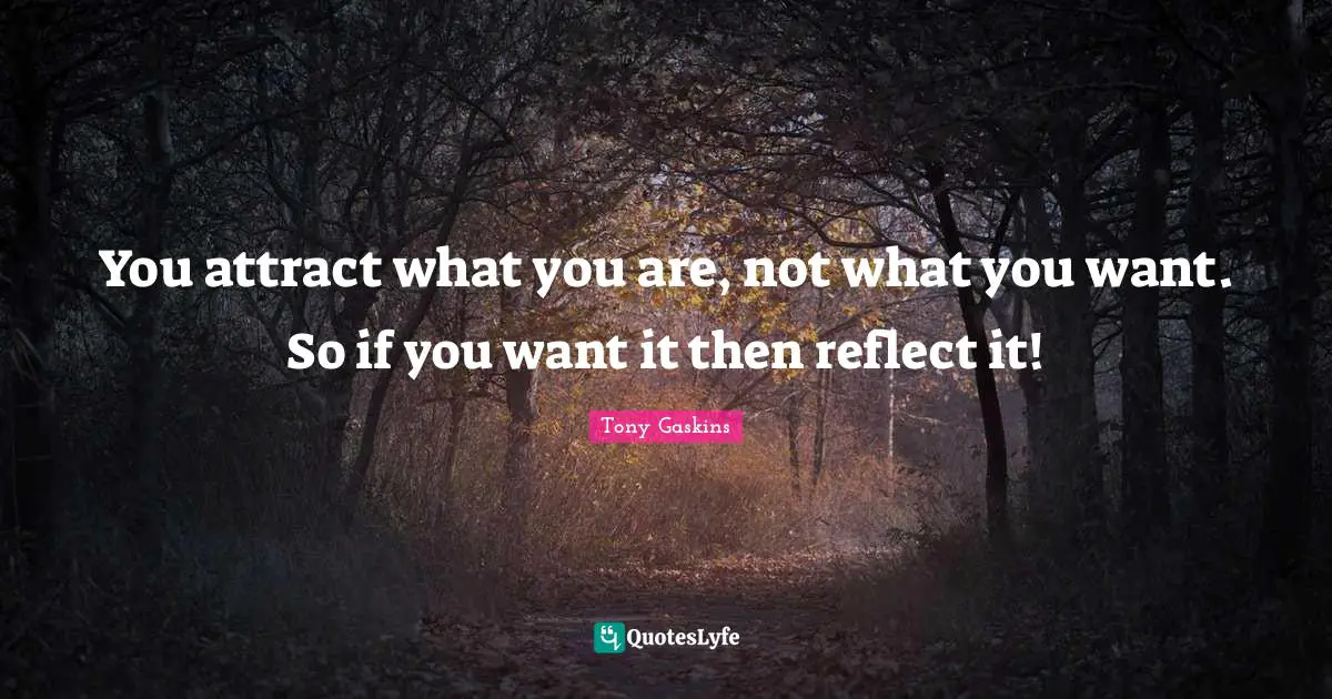 Be Who You Want Quotes: "You attract what you are, not what you want. So if you want it then reflect it!"