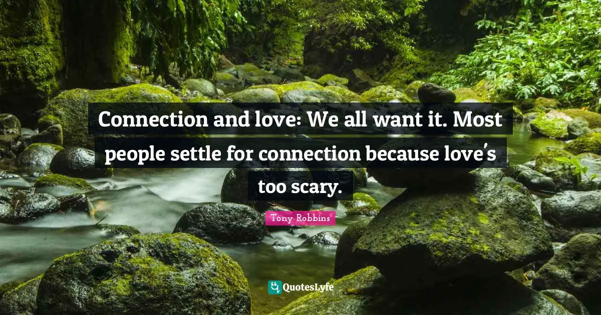 Connection and love: We all want it. Most people settle for connection because love's too scary.