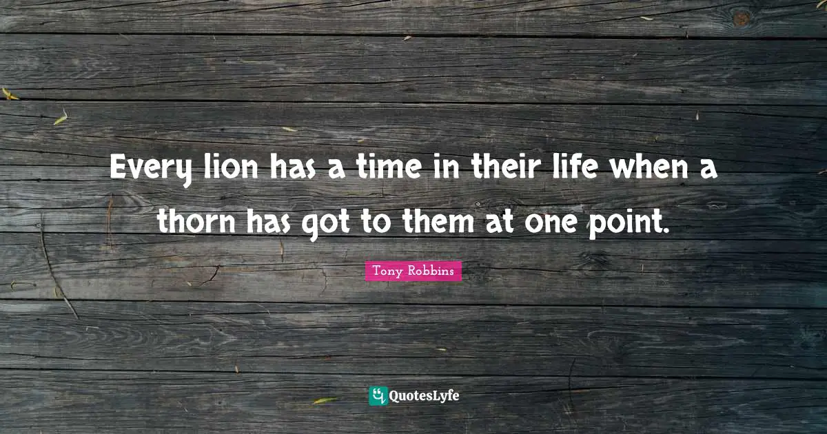 Every lion has a time in their life when a thorn has got to them at one point.