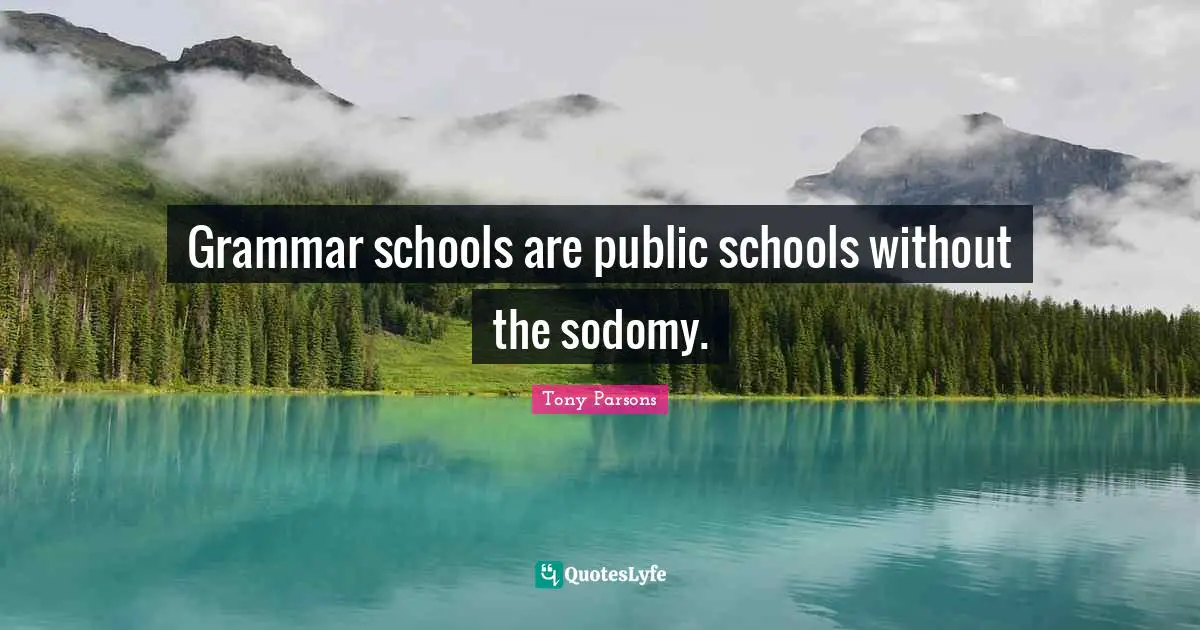Tony Parsons Quotes: "Grammar schools are public schools without the sodomy."