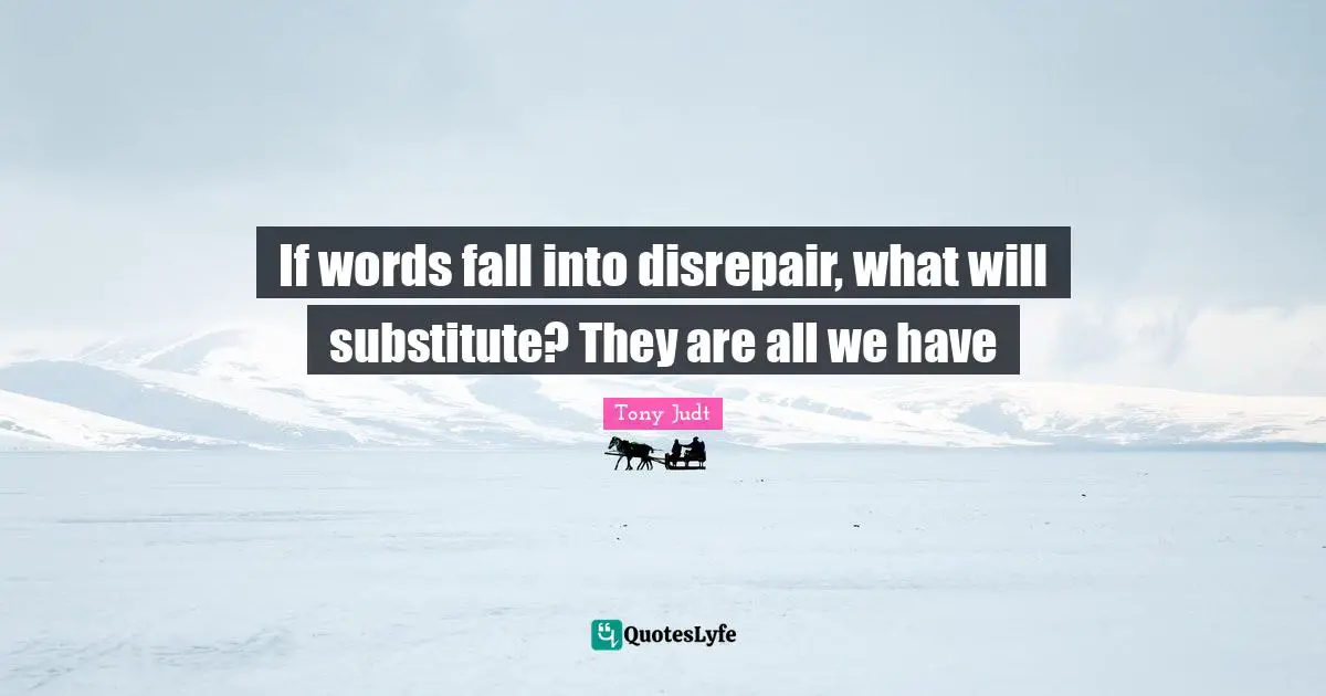 If words fall into disrepair, what will substitute? They are all we have