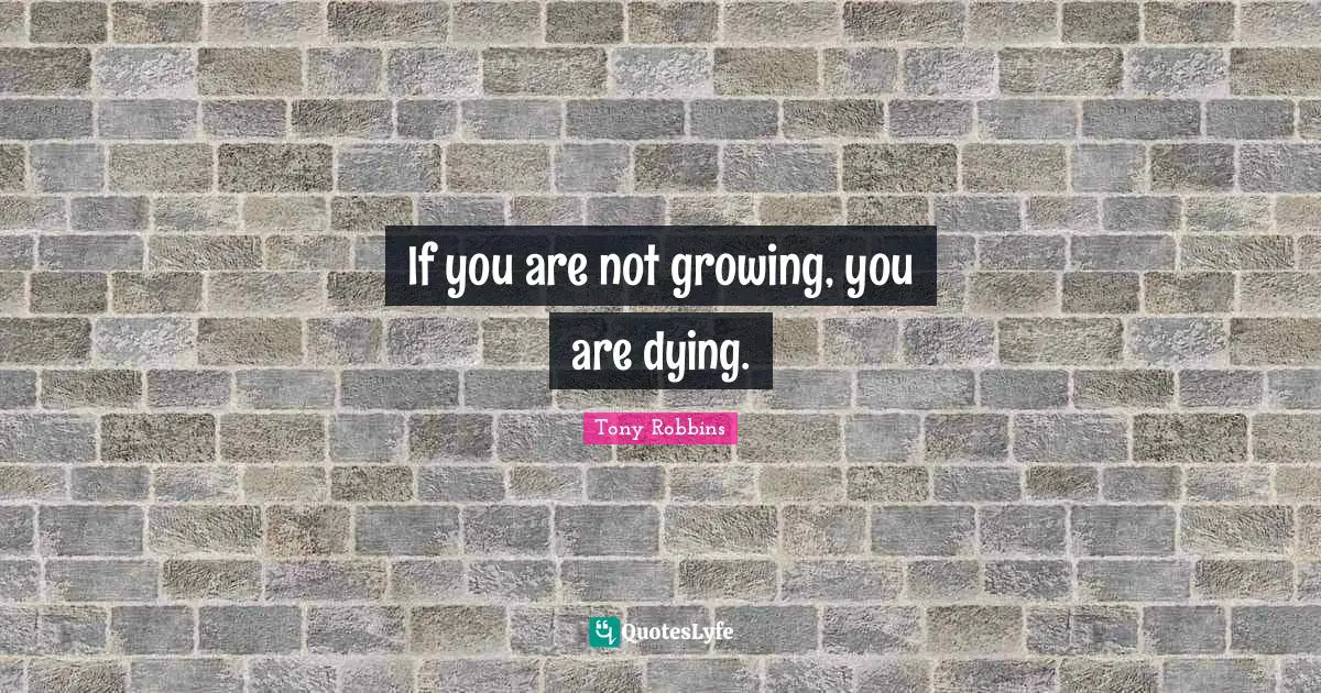 If you are not growing, you are dying.