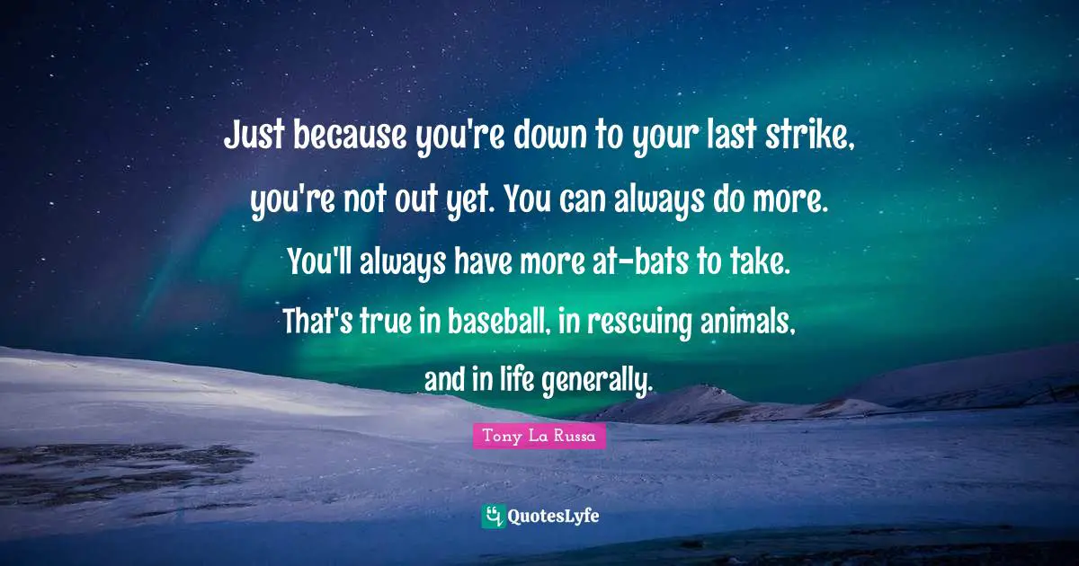 Just because you're down to your last strike, you're not out yet. You can always do more. You'll always have more at-bats to take. That's true in baseball, in rescuing animals, and in life generally.
