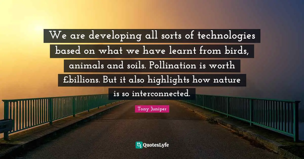 We are developing all sorts of technologies based on what we have learnt from birds, animals and soils. Pollination is worth £billions. But it also highlights how nature is so interconnected.