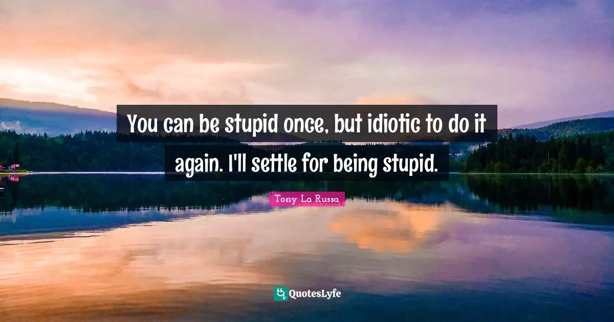 You can be stupid once, but idiotic to do it again. I'll settle for being stupid.
