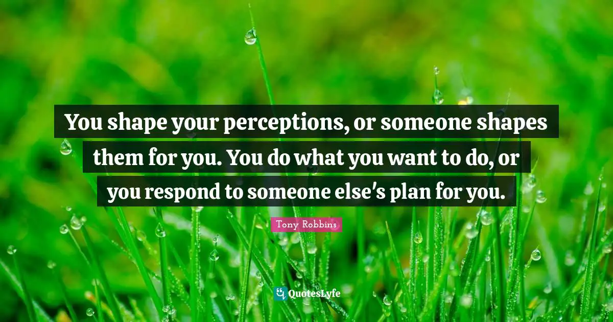 You shape your perceptions, or someone shapes them for you. You do what you want to do, or you respond to someone else's plan for you.