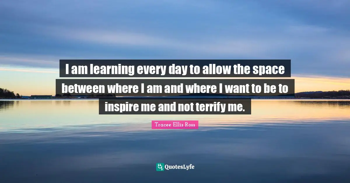 Inspire Quotes: "I am learning every day to allow the space between where I am and where I want to be to inspire me and not terrify me."