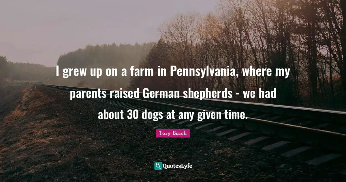 I grew up on a farm in Pennsylvania, where my parents raised German shepherds - we had about 30 dogs at any given time.