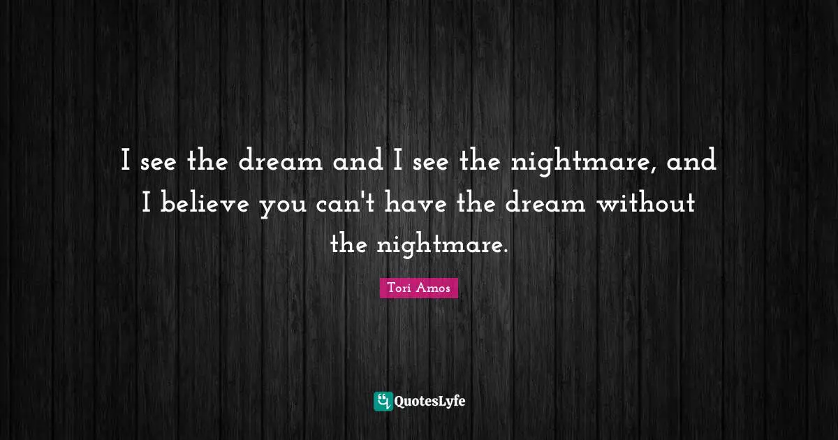 I see the dream and I see the nightmare, and I believe you can't have the dream without the nightmare.