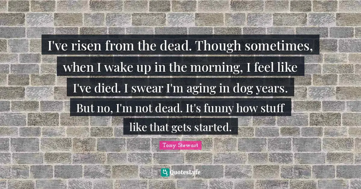 Tony Stewart Quotes: "I've risen from the dead. Though sometimes, when I wake up in the morning, I feel like I've died. I swear I'm aging in dog years. But no, I'm not dead. It's funny how stuff like that gets started."