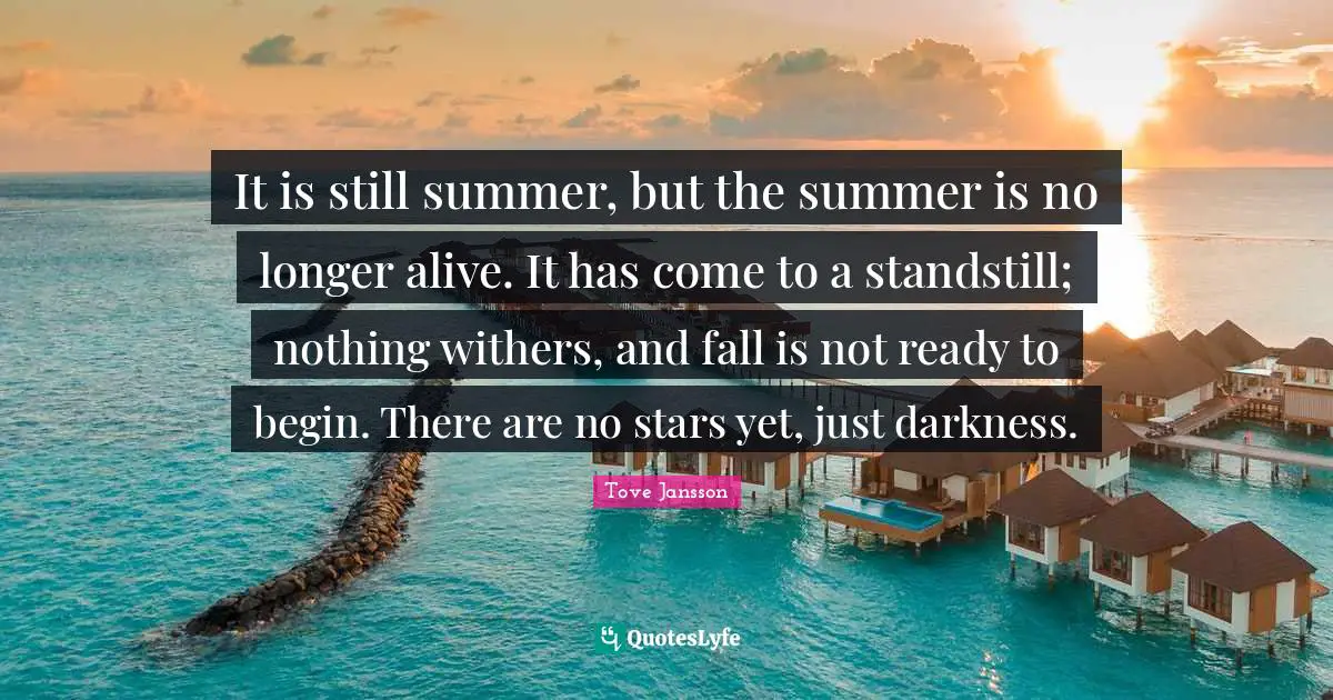 It is still summer, but the summer is no longer alive. It has come to a standstill; nothing withers, and fall is not ready to begin. There are no stars yet, just darkness.