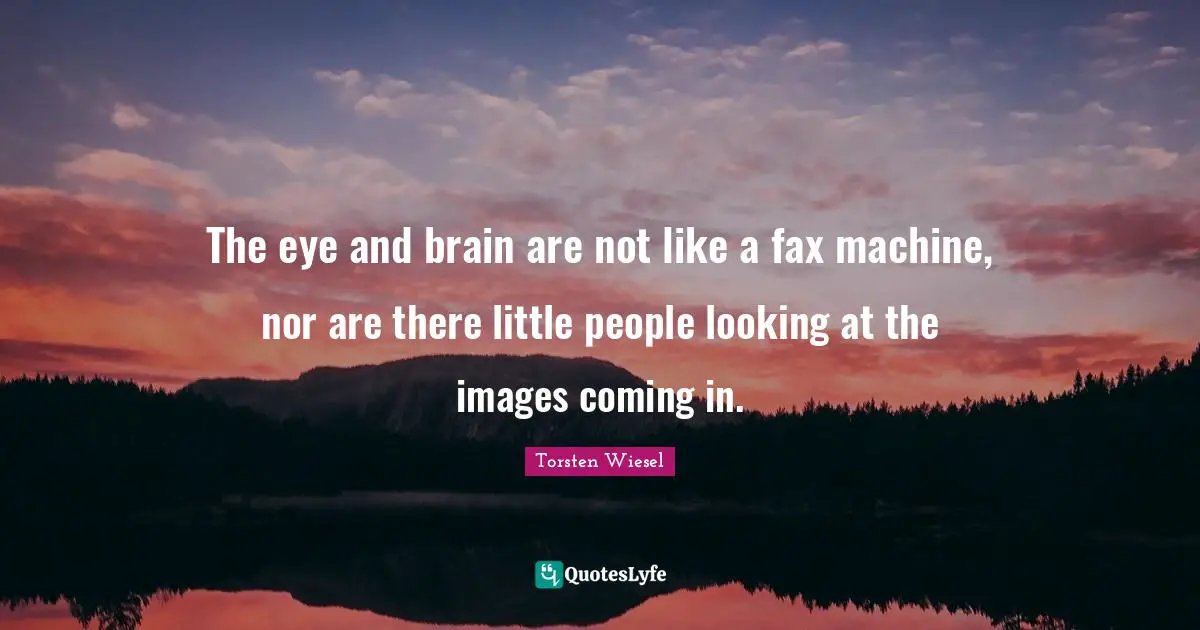 The eye and brain are not like a fax machine, nor are there little people looking at the images coming in.