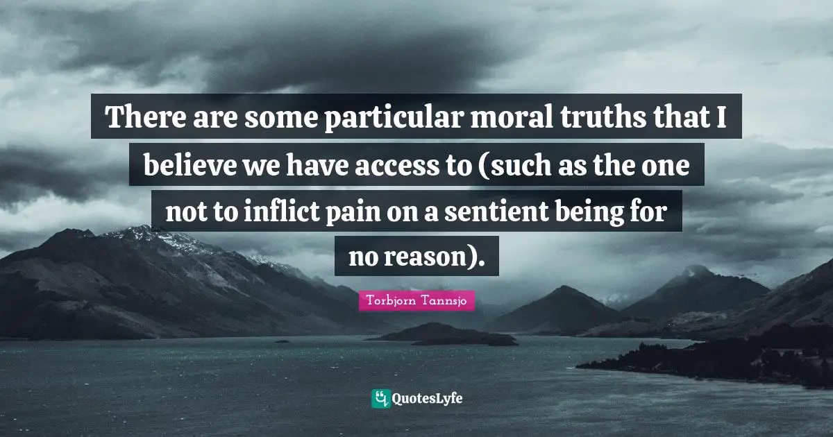 There are some particular moral truths that I believe we have access to (such as the one not to inflict pain on a sentient being for no reason).