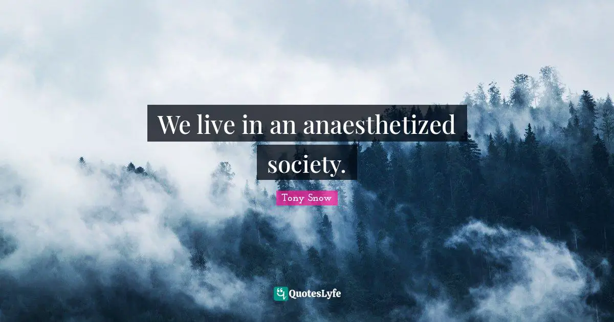 We live in an anaesthetized society.