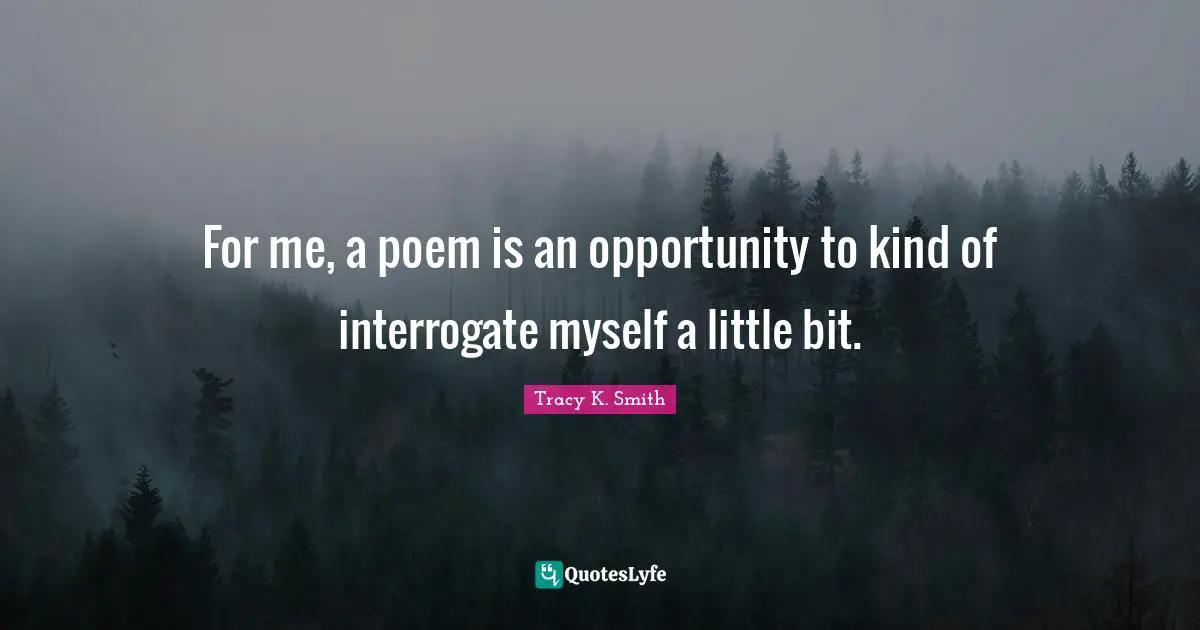 For me, a poem is an opportunity to kind of interrogate myself a little bit.