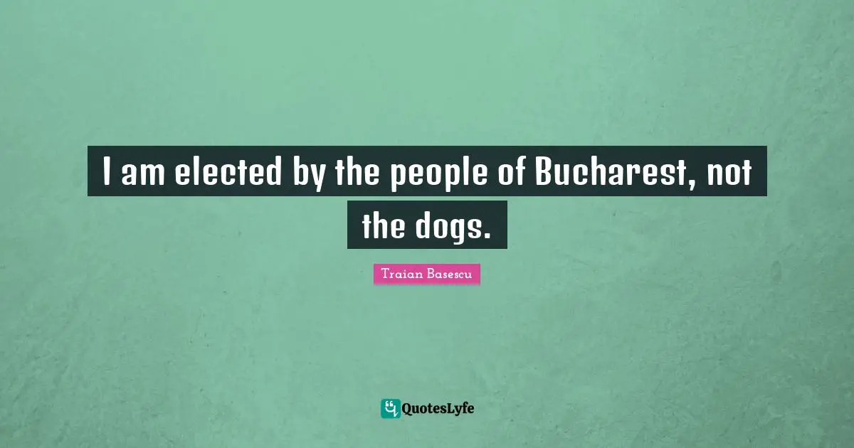 I am elected by the people of Bucharest, not the dogs.