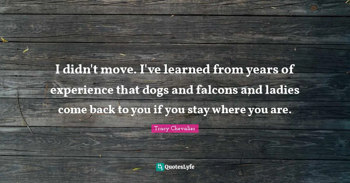 I didn't move. I've learned from years of experience that dogs and falcons and ladies come back to you if you stay where you are.