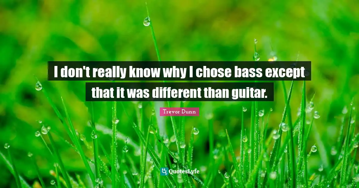 Trevor Dunn Quotes: "I don't really know why I chose bass except that it was different than guitar."