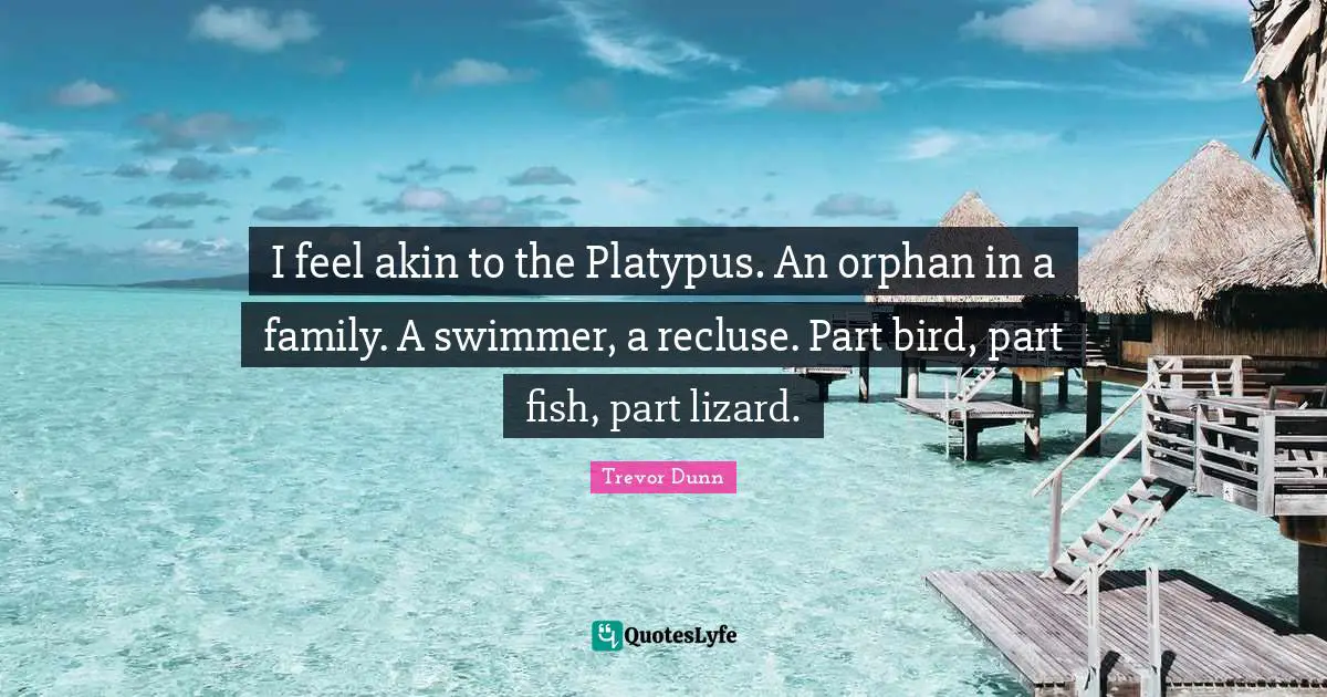 Trevor Dunn Quotes: "I feel akin to the Platypus. An orphan in a family. A swimmer, a recluse. Part bird, part fish, part lizard."
