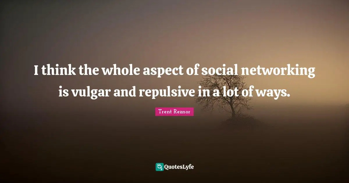 I think the whole aspect of social networking is vulgar and repulsive in a lot of ways.