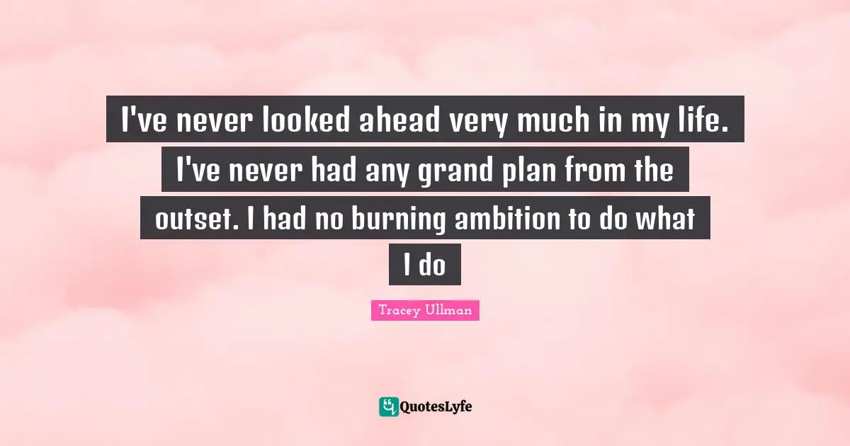 I've never looked ahead very much in my life. I've never had any grand plan from the outset. I had no burning ambition to do what I do