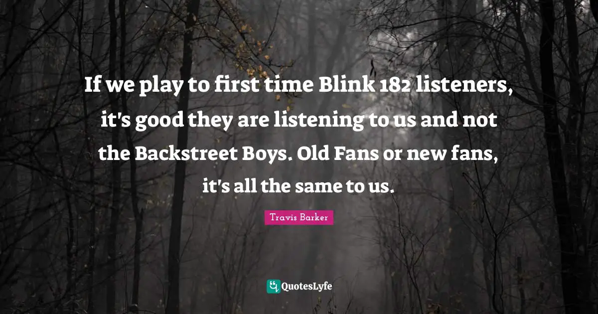 If we play to first time Blink 182 listeners, it's good they are listening to us and not the Backstreet Boys. Old Fans or new fans, it's all the same to us.