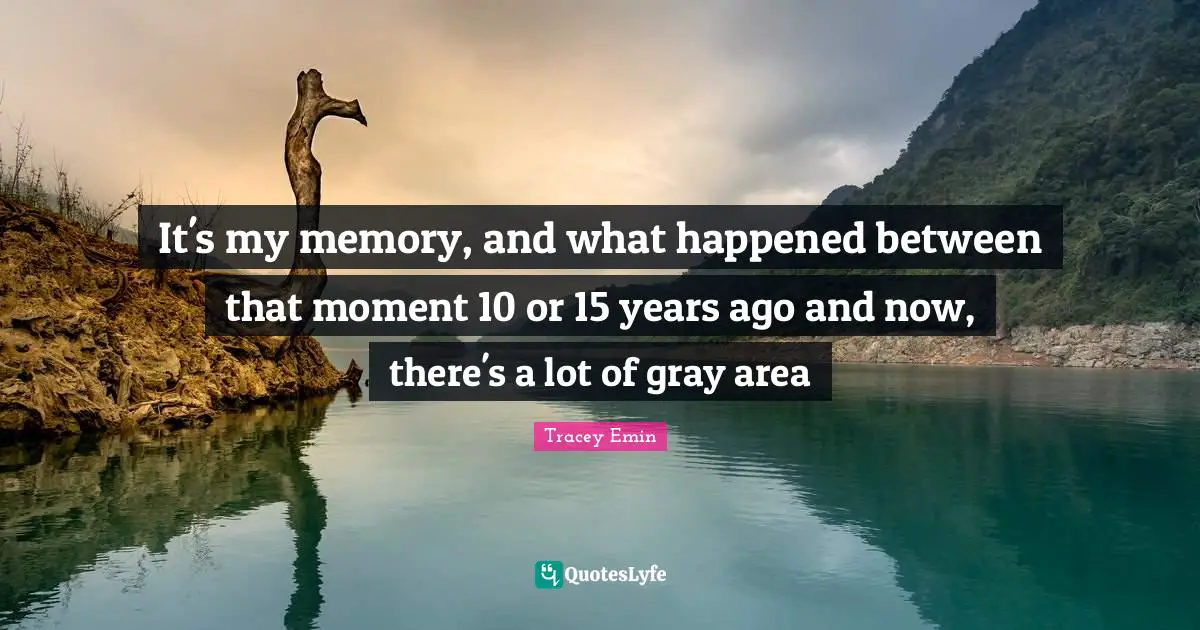 Years Ago Quotes: "It's my memory, and what happened between that moment 10 or 15 years ago and now, there's a lot of gray area"