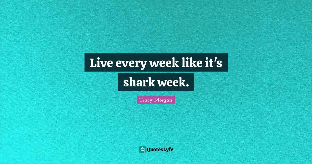 Live every week like it's shark week.