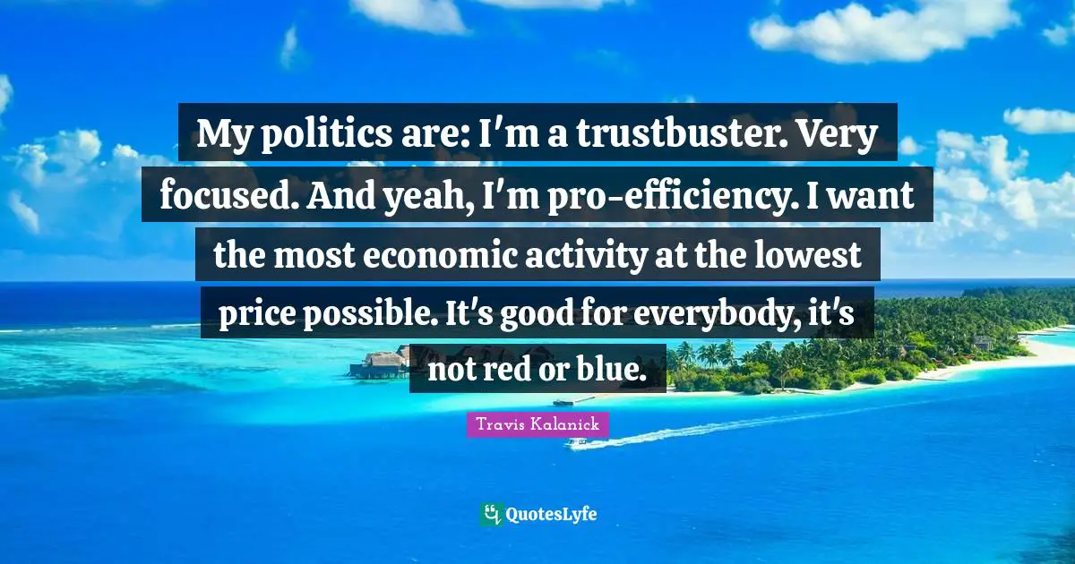 My politics are: I'm a trustbuster. Very focused. And yeah, I'm pro-efficiency. I want the most economic activity at the lowest price possible. It's good for everybody, it's not red or blue.