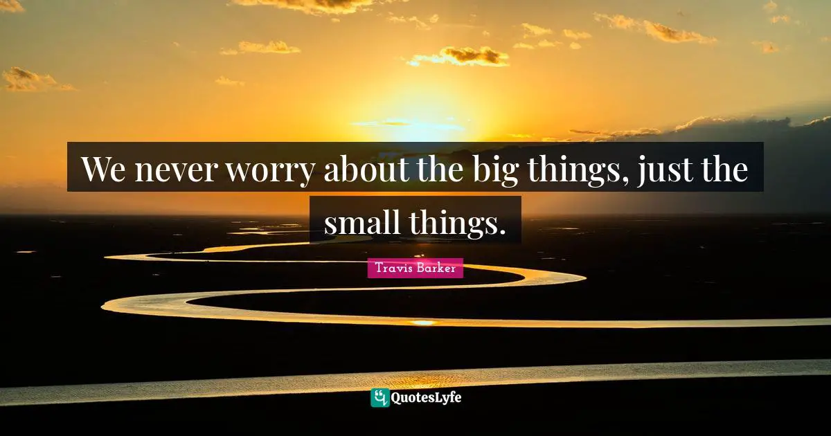 Small Things Quotes: "We never worry about the big things, just the small things."