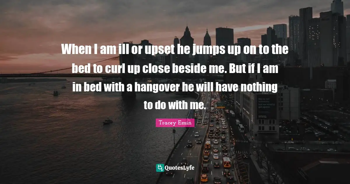 Tracey Emin Quotes: "When I am ill or upset he jumps up on to the bed to curl up close beside me. But if I am in bed with a hangover he will have nothing to do with me."
