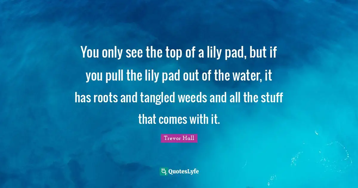 You only see the top of a lily pad, but if you pull the lily pad out of the water, it has roots and tangled weeds and all the stuff that comes with it.