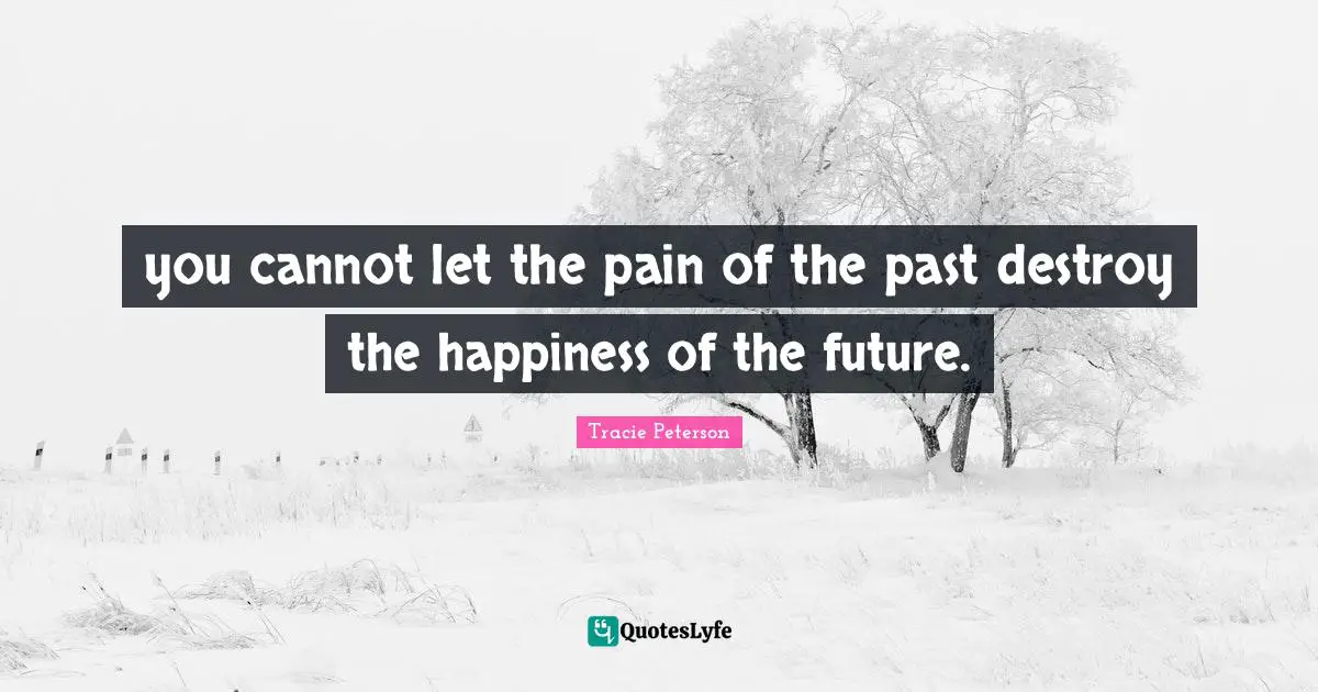 you cannot let the pain of the past destroy the happiness of the future.