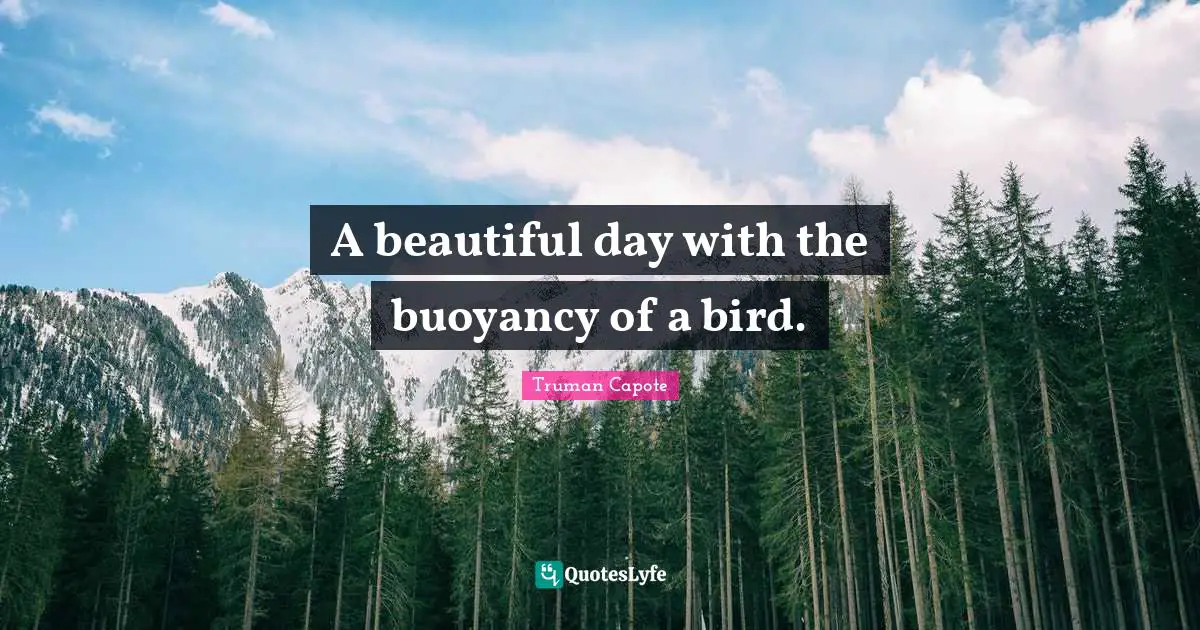 A beautiful day with the buoyancy of a bird.