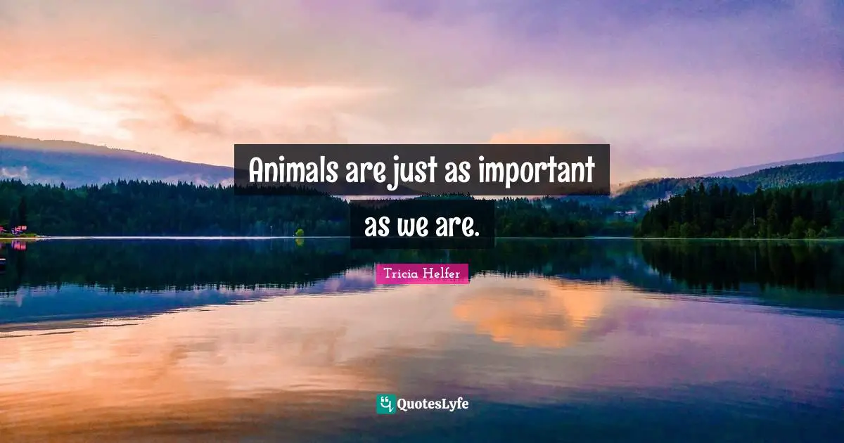 Tricia Helfer Quotes: "Animals are just as important as we are."