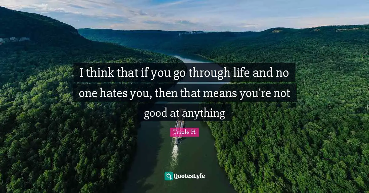 I think that if you go through life and no one hates you, then that means you're not good at anything