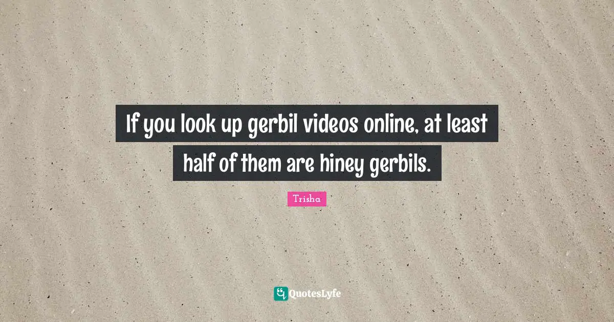 If you look up gerbil videos online, at least half of them are hiney gerbils.