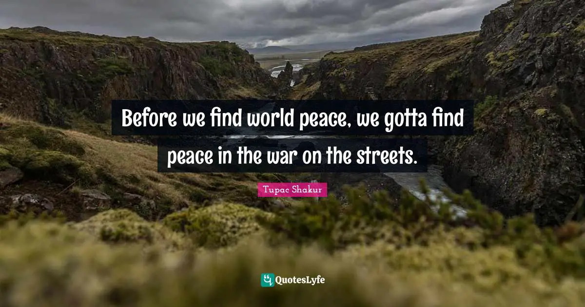 Before we find world peace, we gotta find peace in the war on the streets.