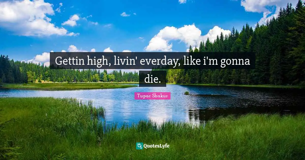 Gettin high, livin' everday, like i'm gonna die.