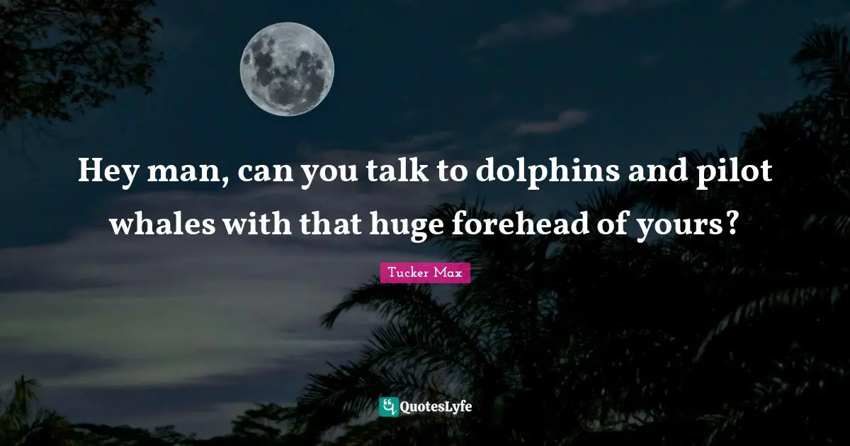 Hey man, can you talk to dolphins and pilot whales with that huge forehead of yours?