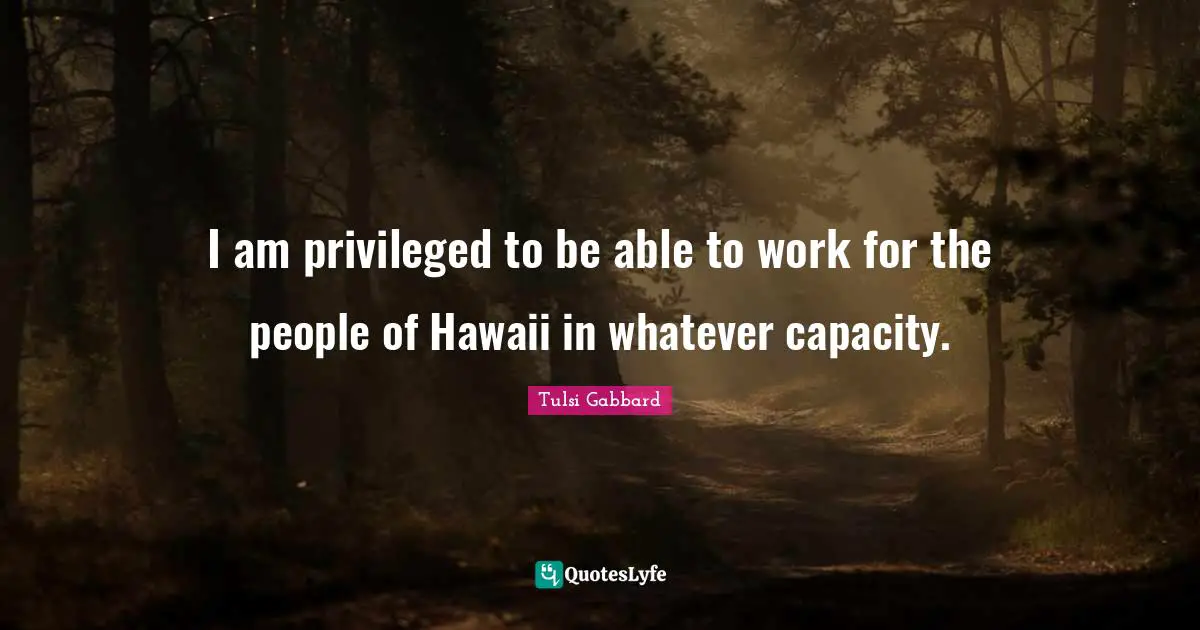 I am privileged to be able to work for the people of Hawaii in whatever capacity.