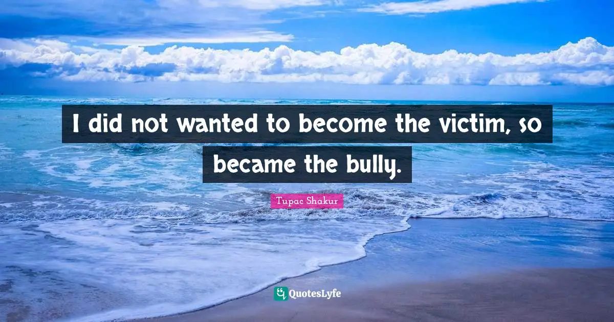 I did not wanted to become the victim, so became the bully.