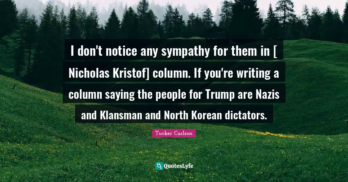I don't notice any sympathy for them in [ Nicholas Kristof] column. If you're writing a column saying the people for Trump are Nazis and Klansman and North Korean dictators.