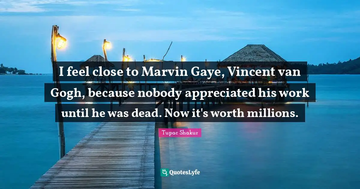 I feel close to Marvin Gaye, Vincent van Gogh, because nobody appreciated his work until he was dead. Now it's worth millions.