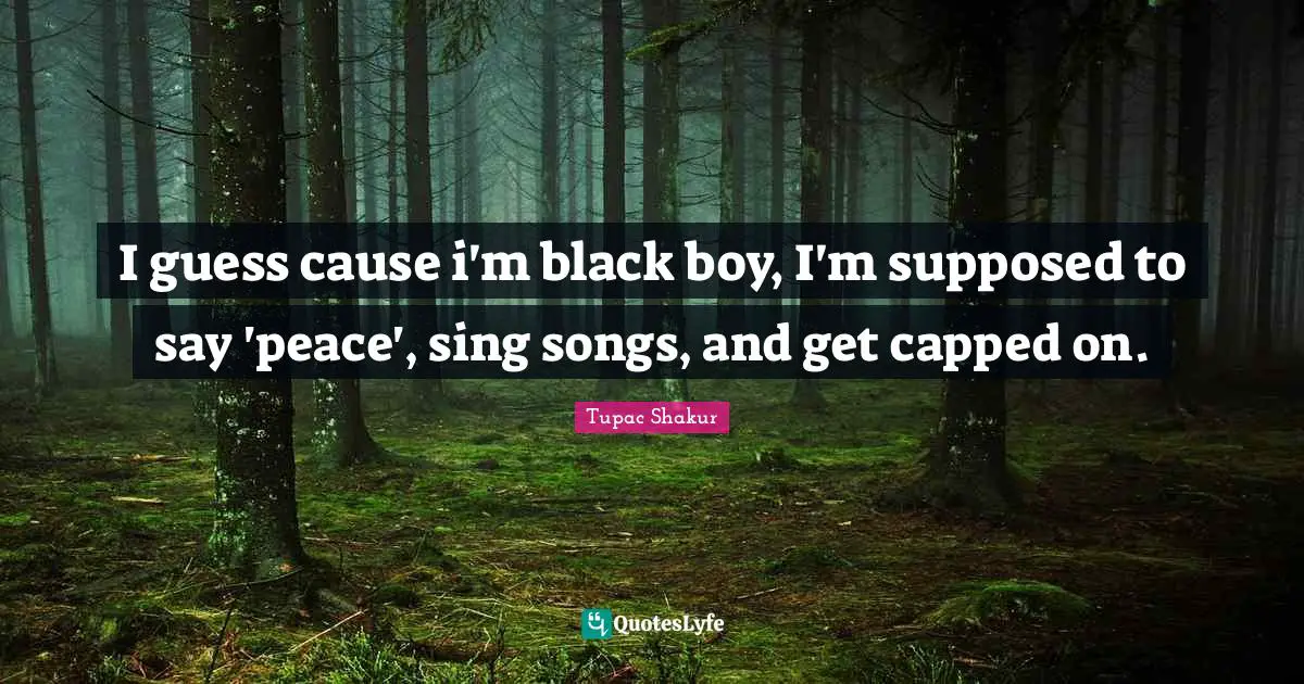 I guess cause i'm black boy, I'm supposed to say 'peace', sing songs, and get capped on.